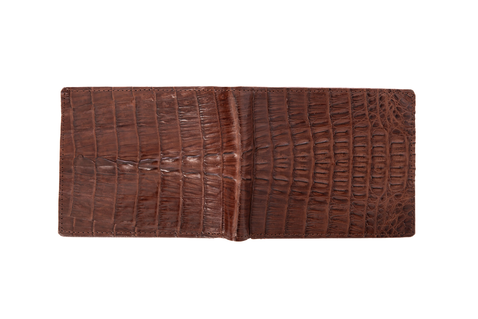 Crocodile Skin Wallet (tail) – Crocodile Darwin