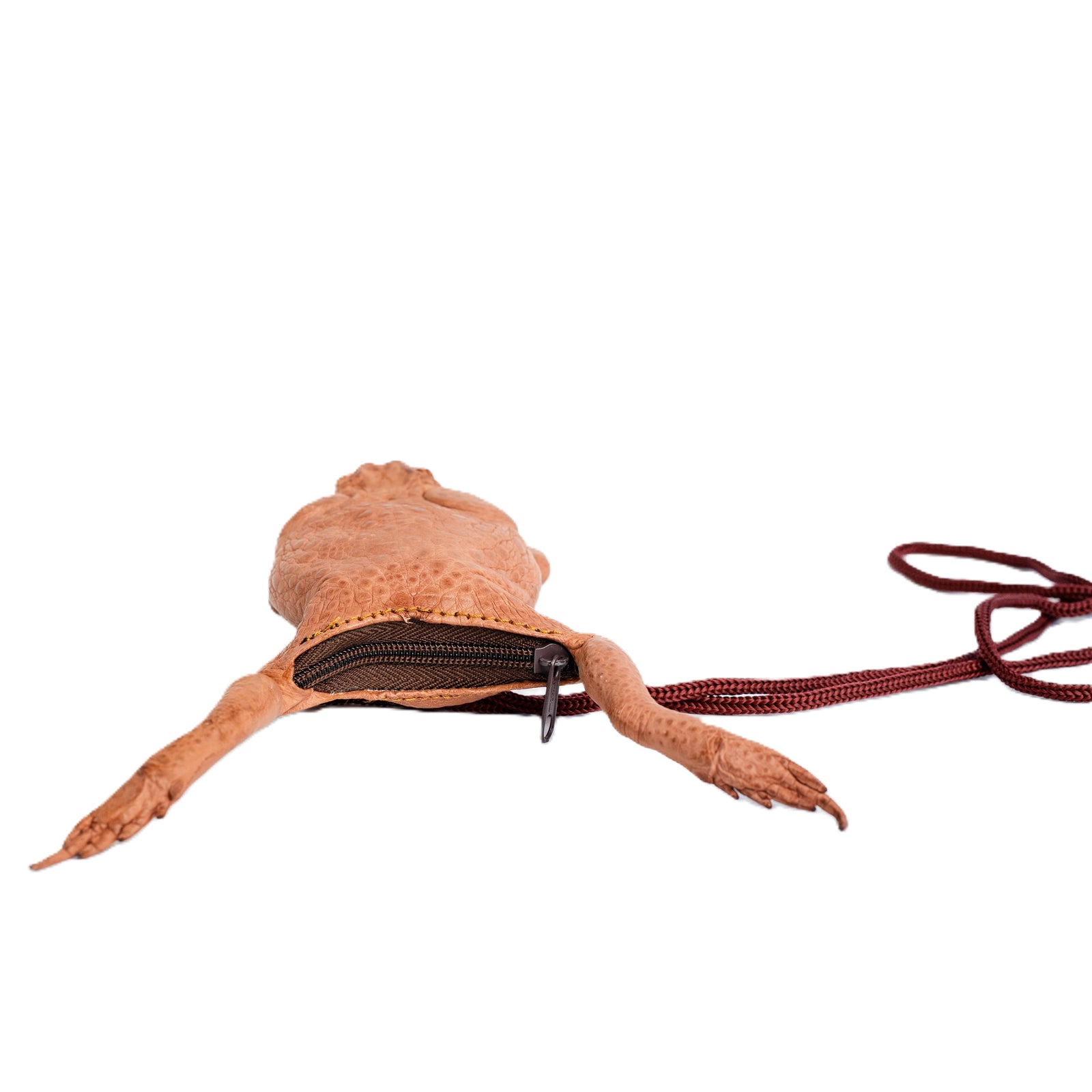 Cane Toad Coin Purse – Crocodile Darwin