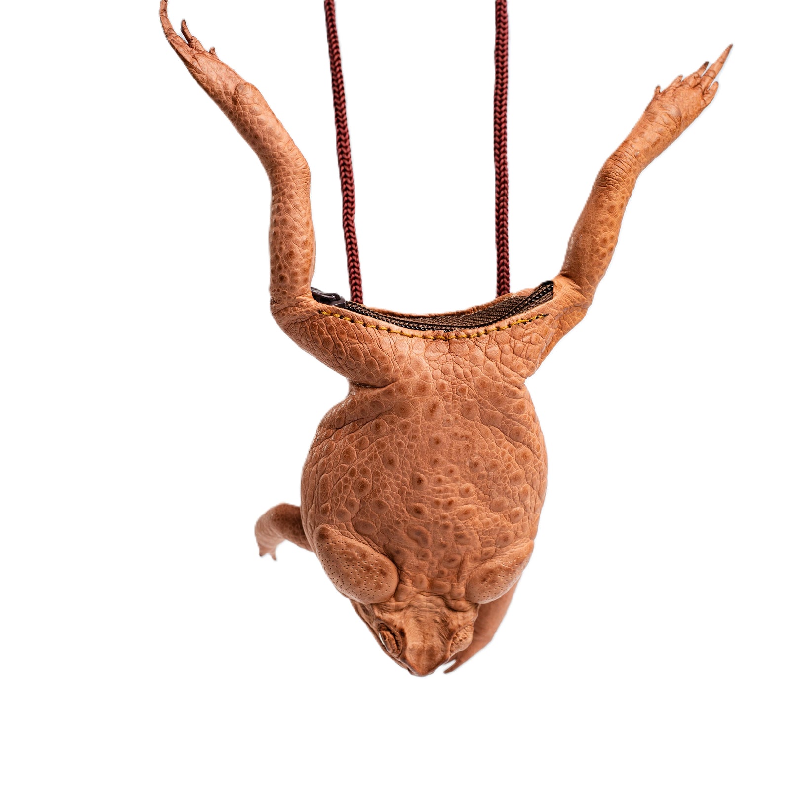 Cane Toad Coin Purse – Crocodile Darwin