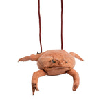 Cane Toad Coin Purse