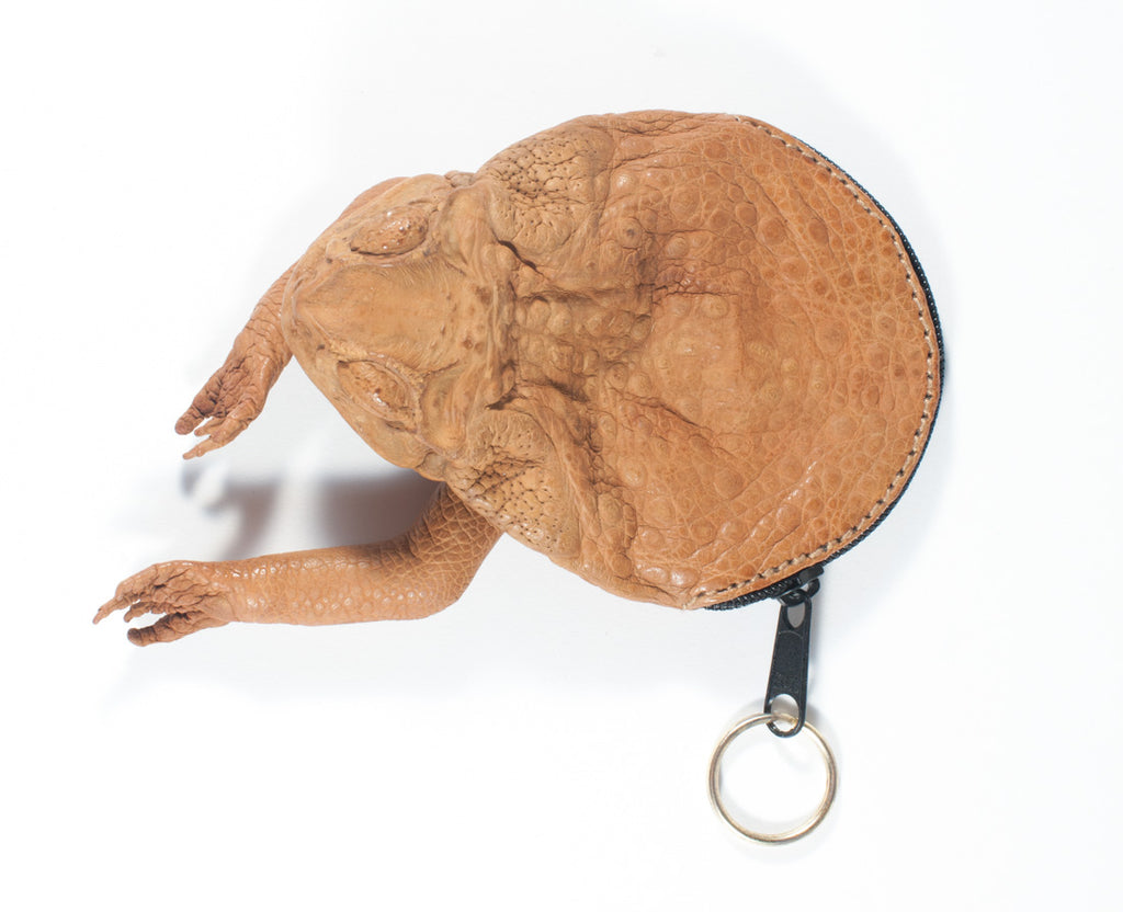 Cane Toad Coin Purse