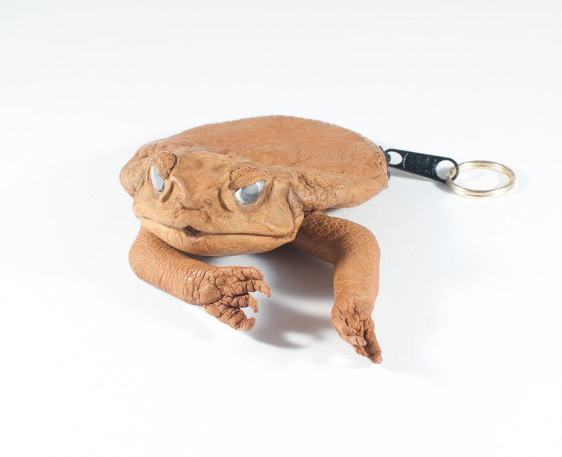 Real Cane Toad Coin Purse with Legs and Zipper - Etsy Israel